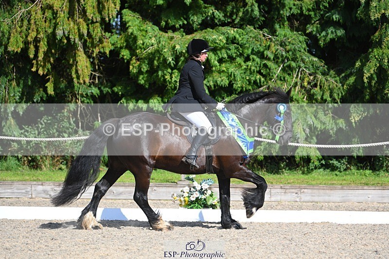 230811-162609-02675 - Prelim Bronze Presentations