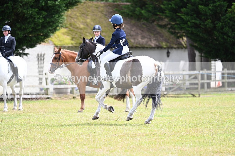 WJ7_9749 - Class 8 Ridden Veterans