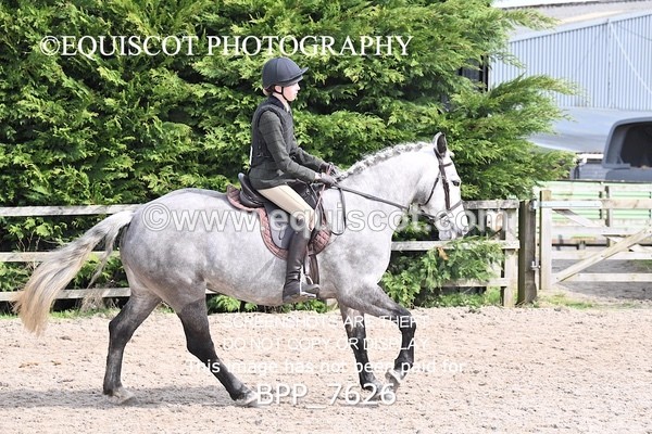BPP_7626 - RING 1  (RIDDEN HORSES / IN HAND / VETERAN ETC)