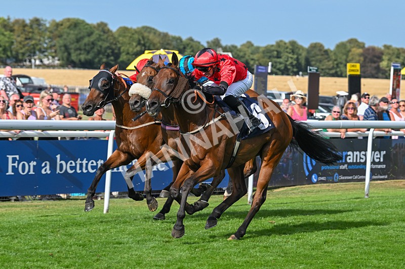 140825-Race 6-Sunny Orange-1825 - Race 6