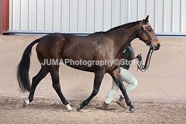 SIAL9773 - Indoor Classes