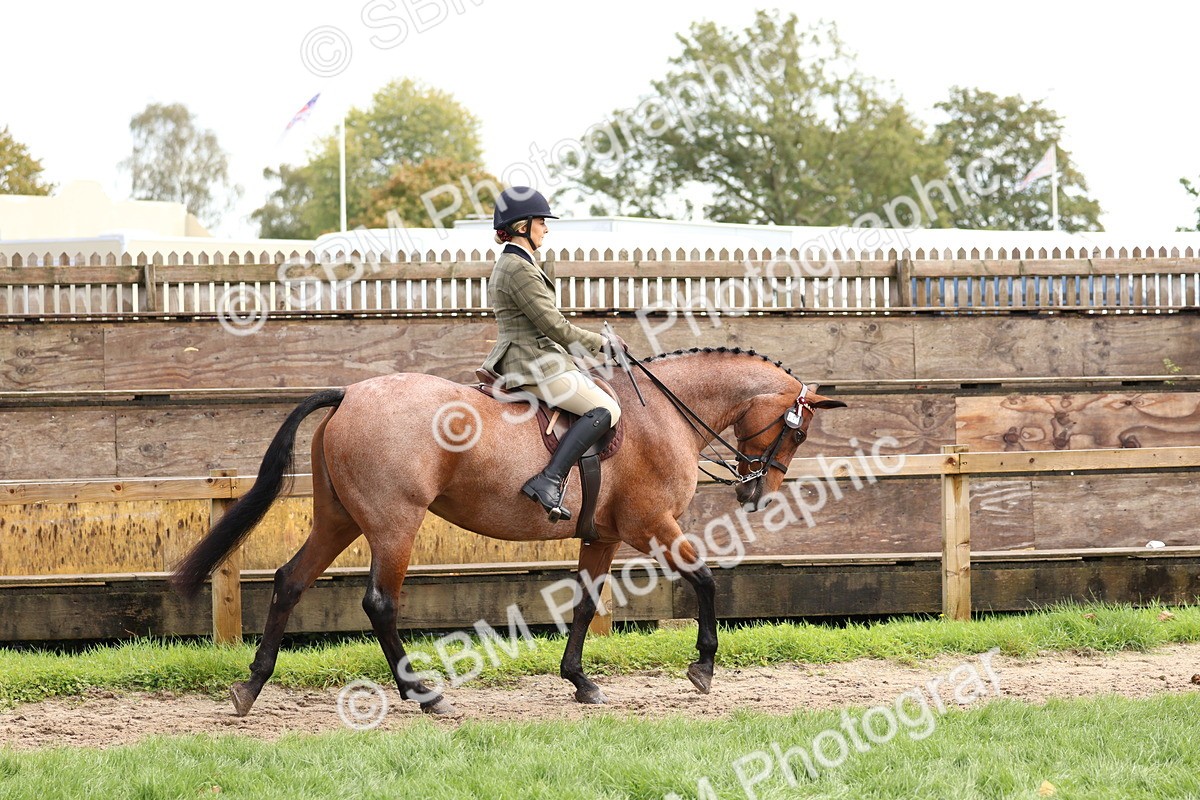 SBM_45155 - S27 - Young Veteran Ridden