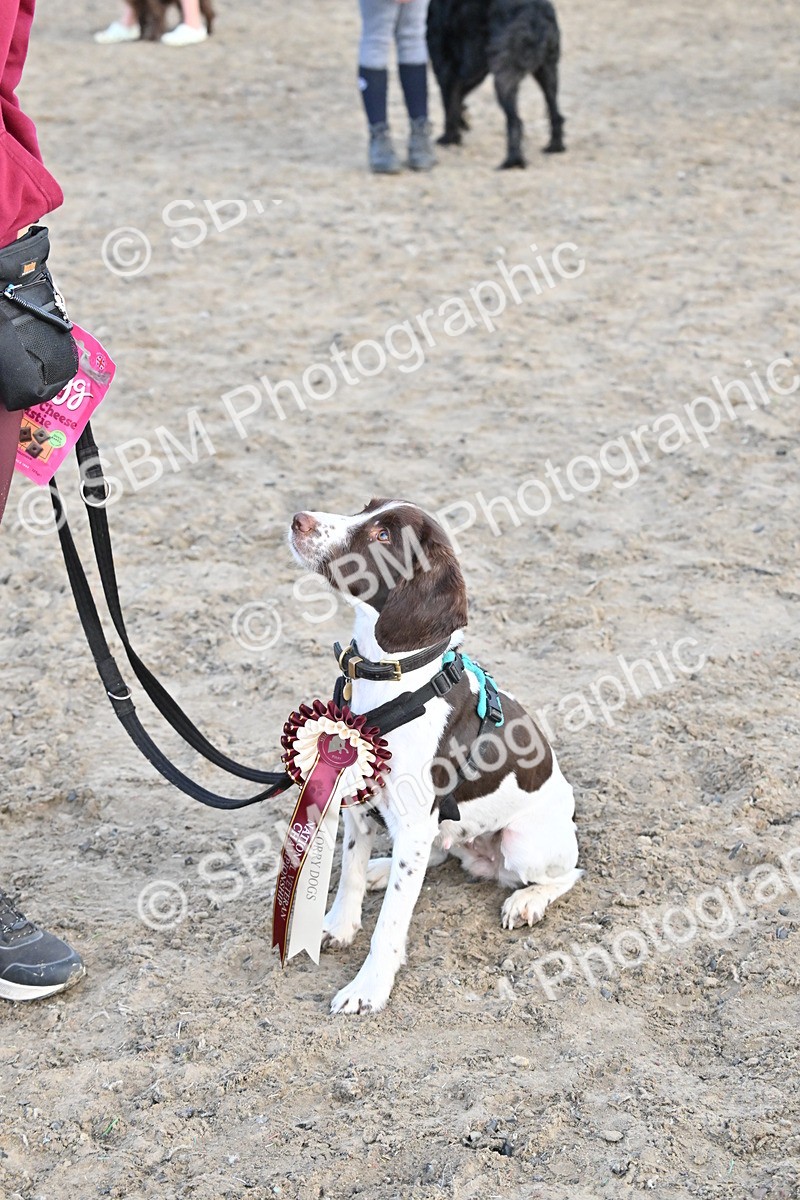 SBM_09634 - Lorry Dogs
