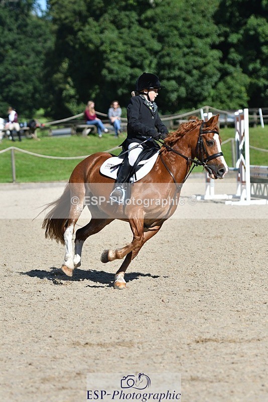 240728-095403-02007 - PC70, Round 2