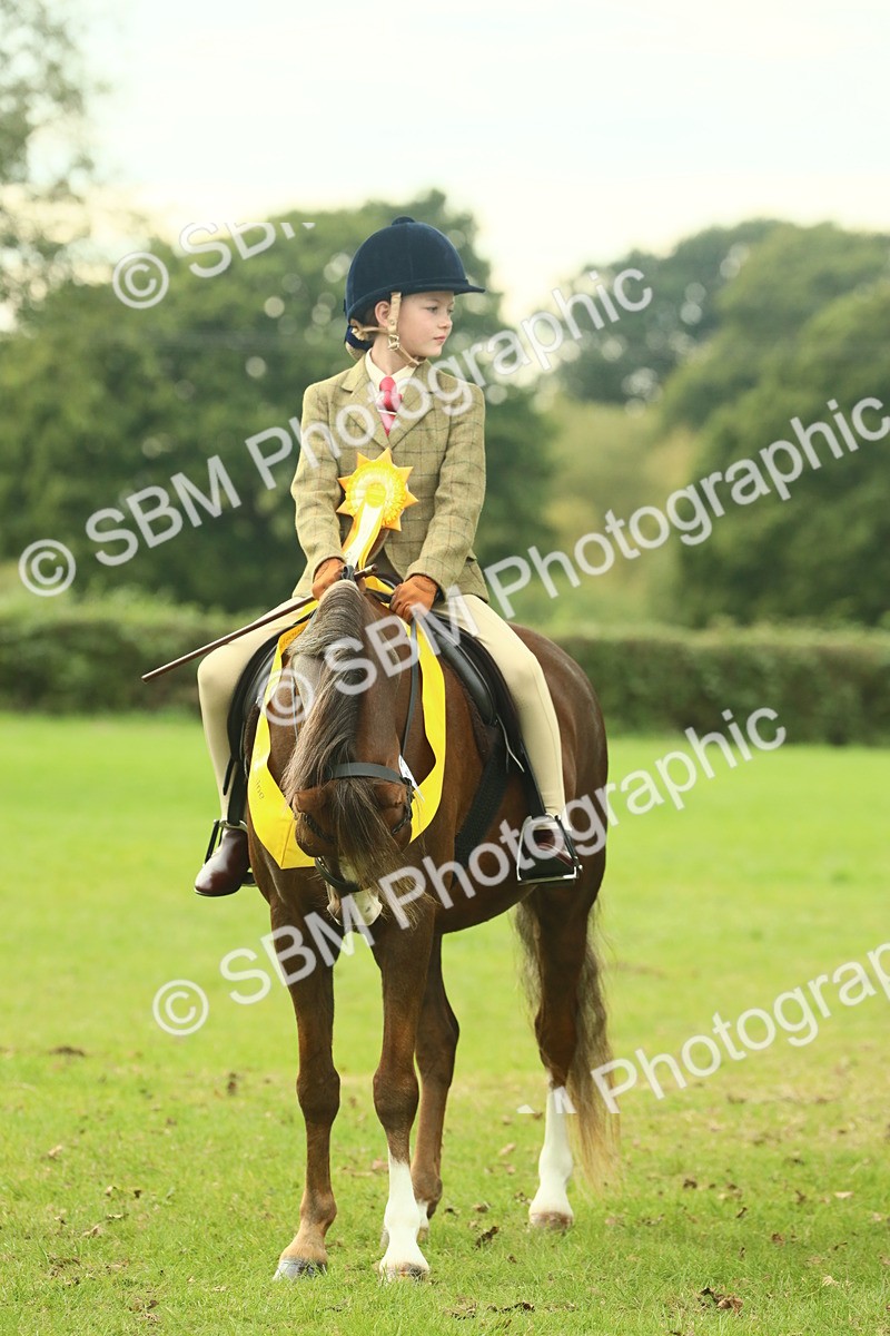 SBM_75086 - Ridden Pony Supreme Championship