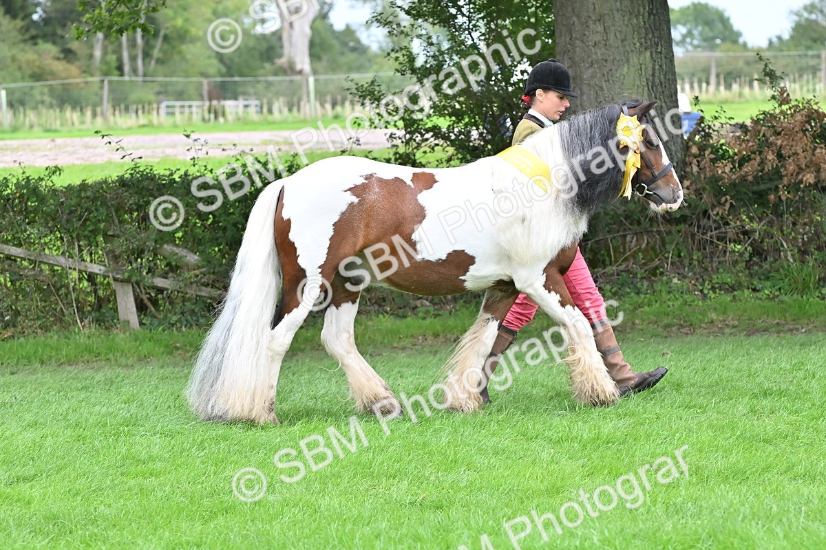 SBM_65007 - In Hand Pony & Younstock Supreme Championship