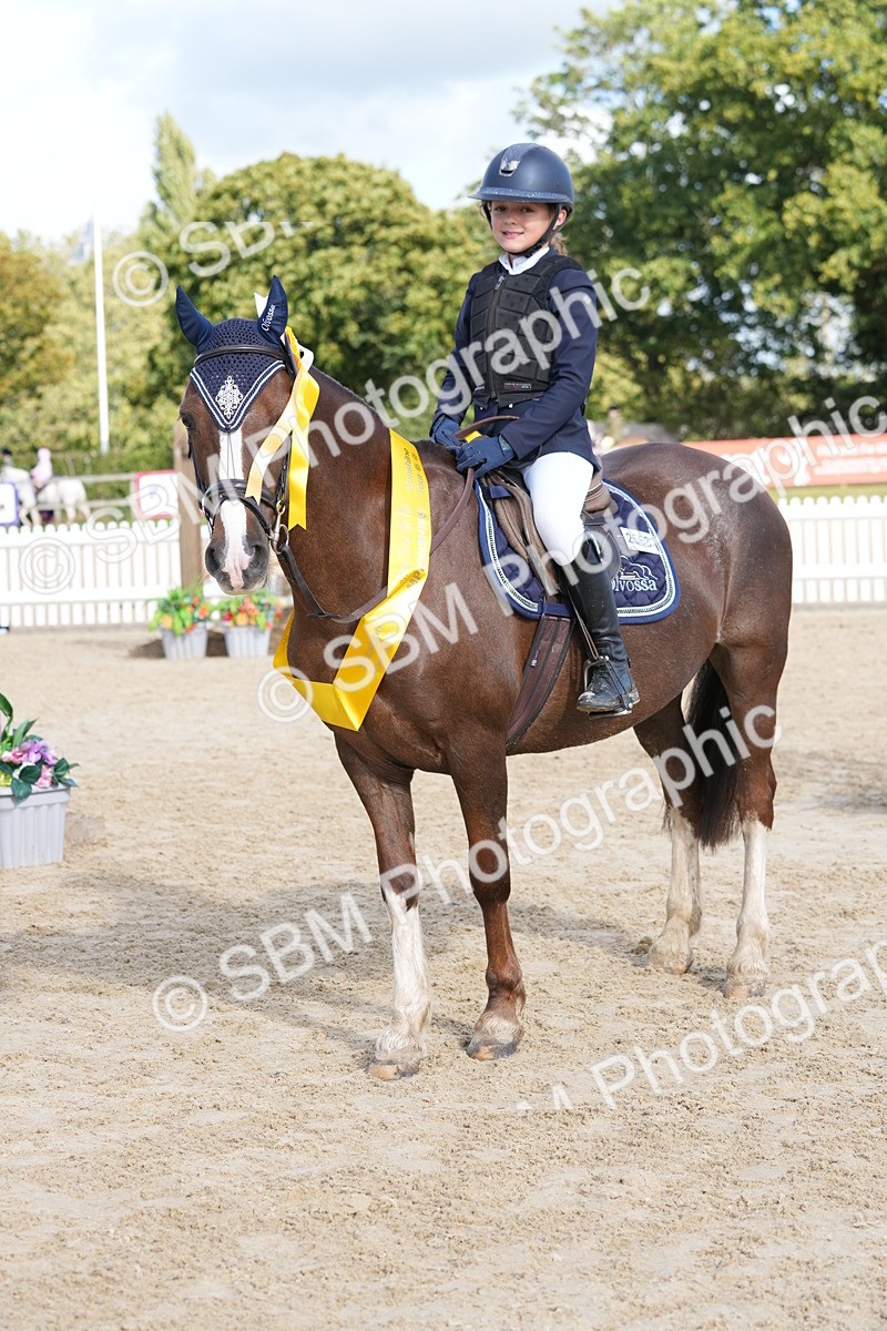 SBM_48595 - J7 - Junior Pony 60cm Championship
