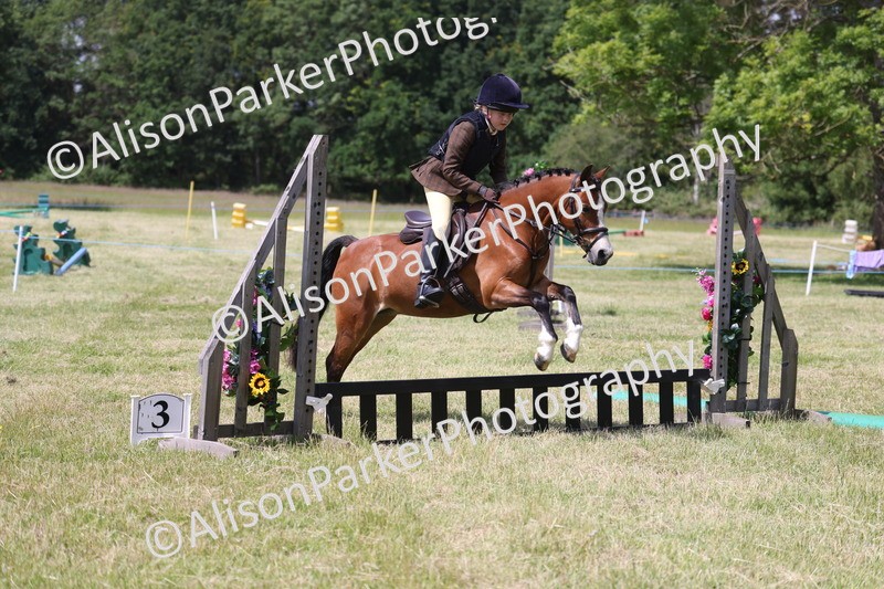 20260614-1747 - Class 21 - Novice Working Hunter Pony