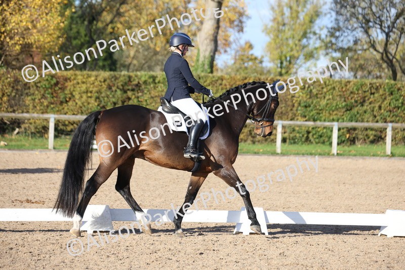 20251102-1206 - Class 7 - Medium 5