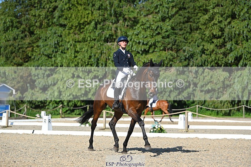 230526-171804-07561 - 262-TREAMBLE-Finn_Healy-WEDTrotUp+DR