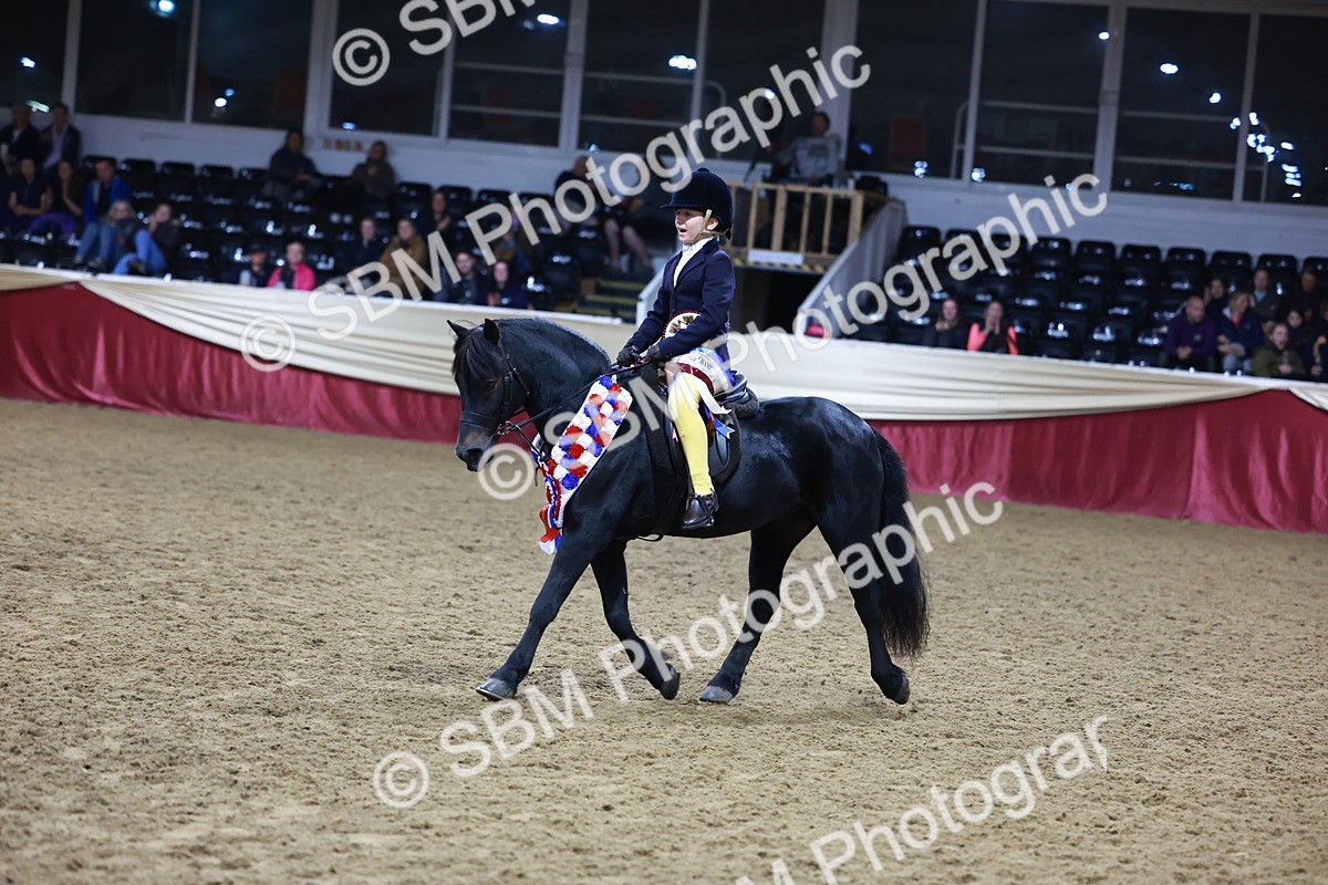 SBM_21397 - Class T - Working Veteran Champs