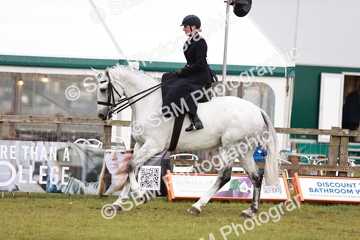 SBM_10981 - Class 81-84 - RIHS Ridden hunters Inc Ladies Hunter