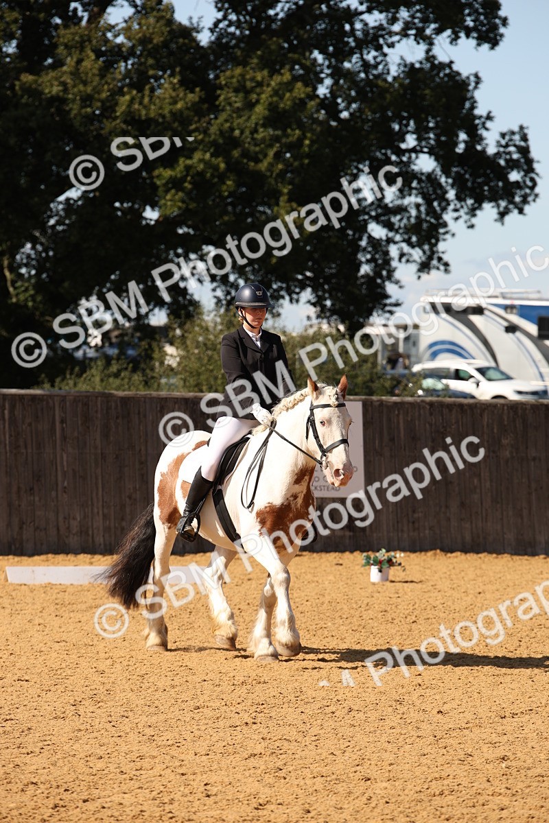 SBM_24180 - D5 - Small Tour Championship - Intro C
