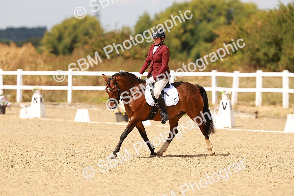 SBM_018619