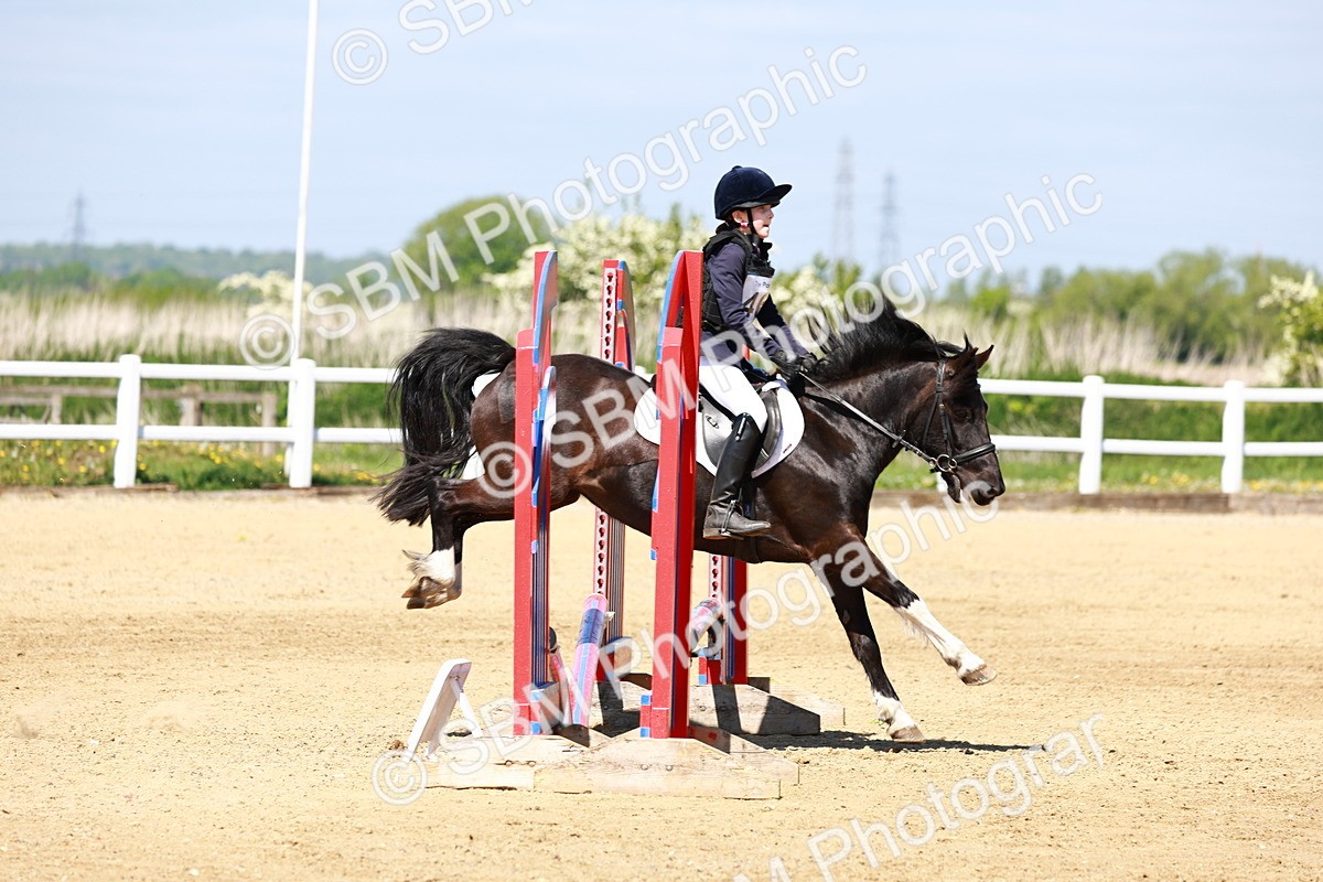 SBM_007462 - Class 3 - 60cm