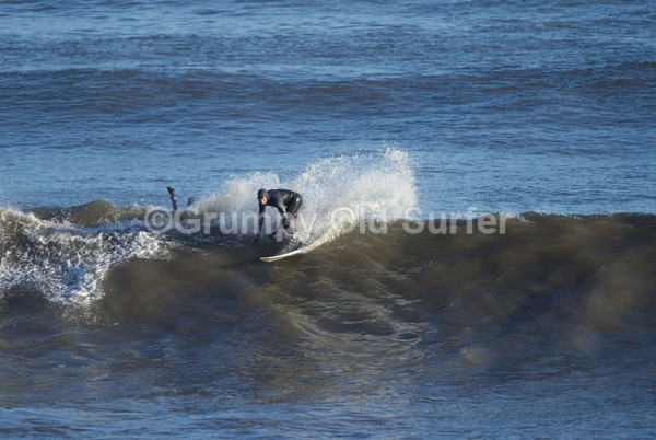 DSC_7957 - East Coast 27th Dec 2016
