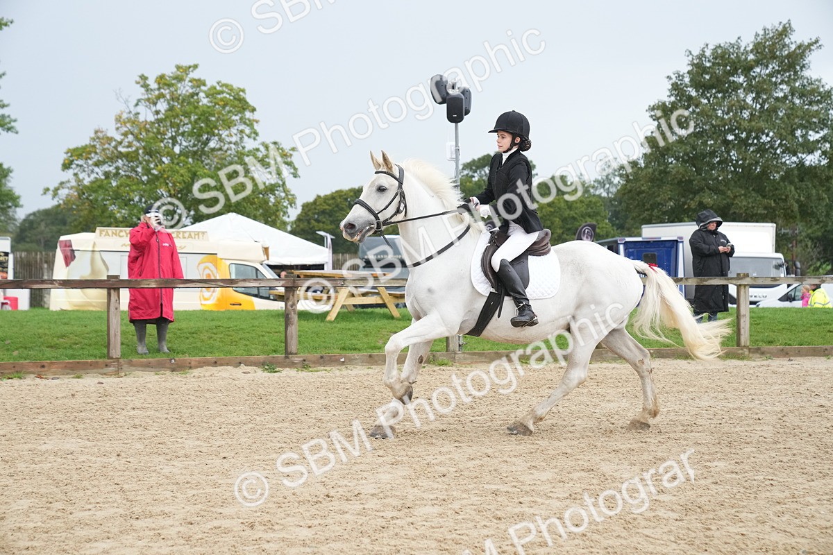 SBM_01511 - J54 - Clear Round 50cm