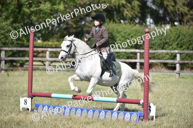 20260906-1706 - Class 9 - Absolute Novice Jumping 45cm
