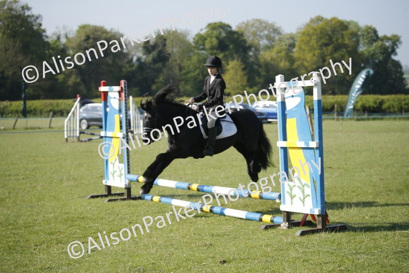 20250427-0328 - Class 12 - Rookie Jumping 40cm