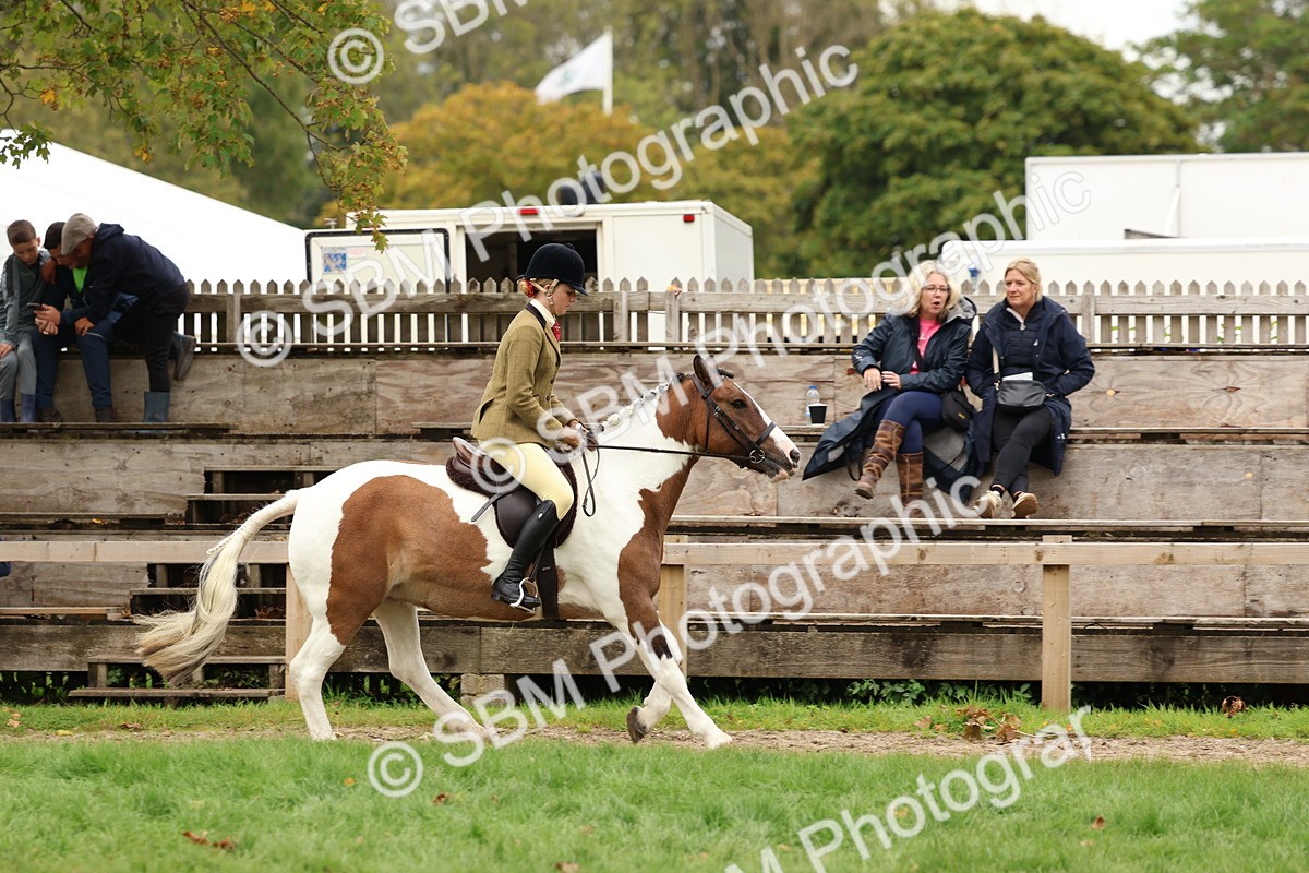 SBM_64554 - S58 - Coloured Pony Ridden