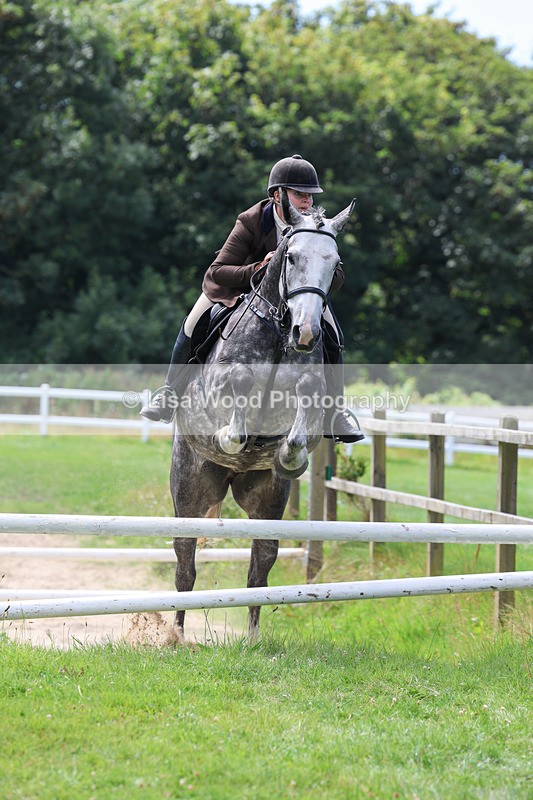 3E7A8872 - Class 6: Open Working Horse