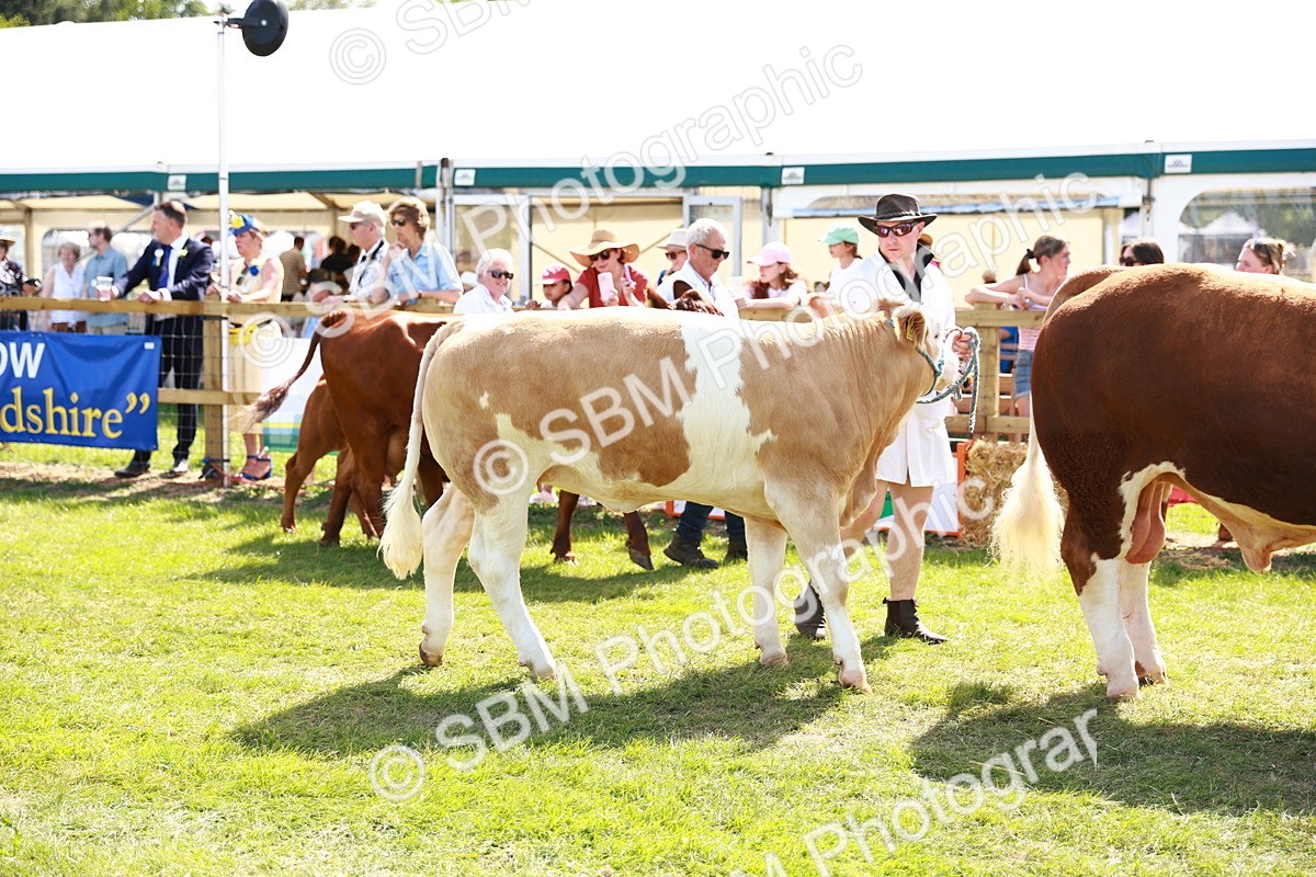 SBM_08443 - Grand Parade