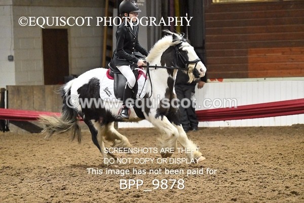 BPP_9878 - CLASS 3 40CM