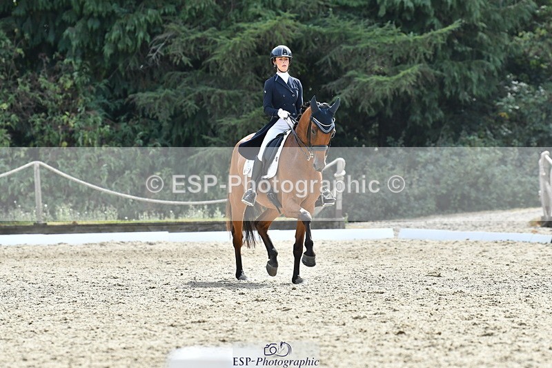260802A-153542-07522 - Intermediate Bronze