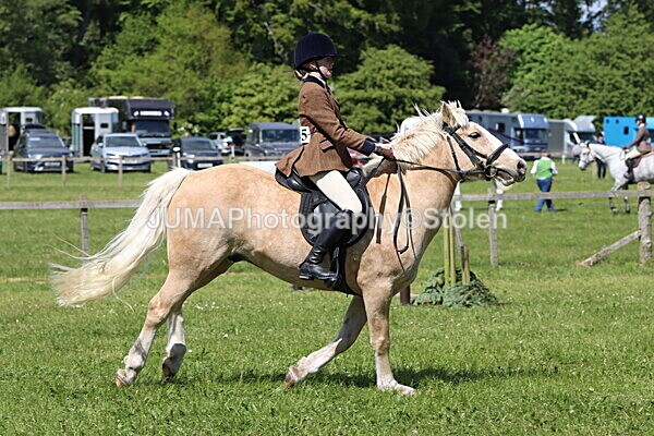 IMG_4264 - Working Hunter