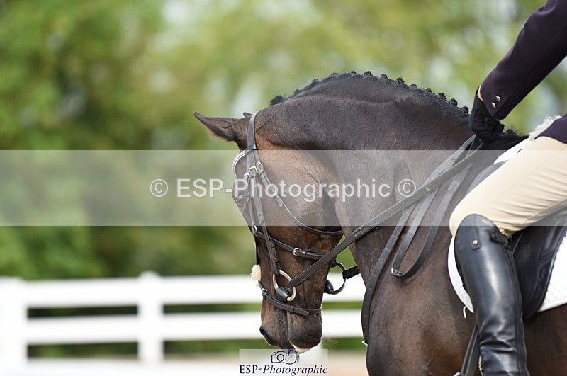 230912A-104840-00439 - Cls 5 Novice 39