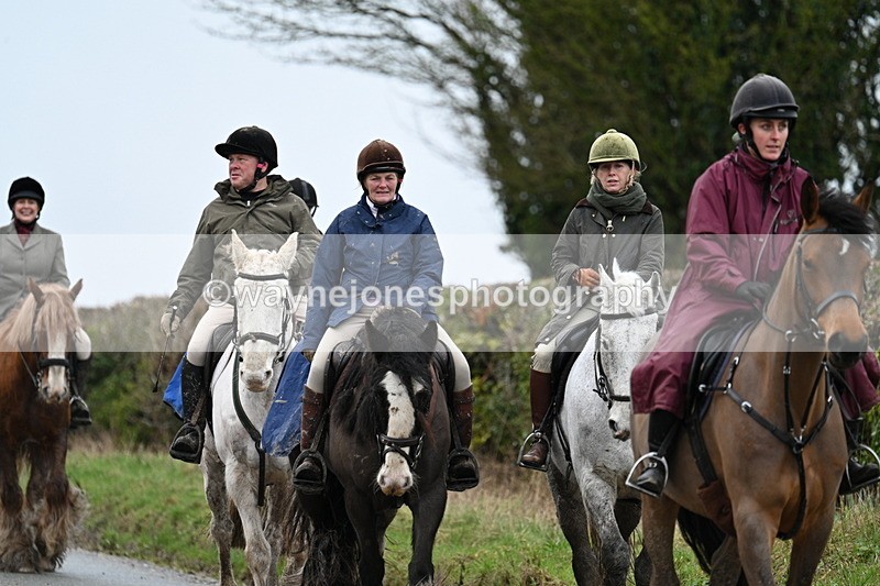 WJ7_8867 - Berks & Bucks - Rowles Farm 15-02-26