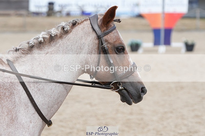 250821A-115114-15208 - WC Round 2 11.00 to 12.00