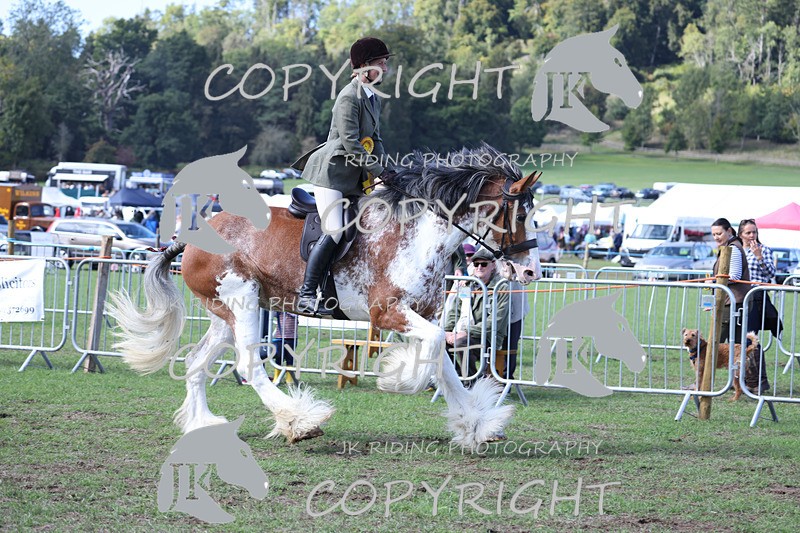 APP_3785 - Class 8 Ridden Class