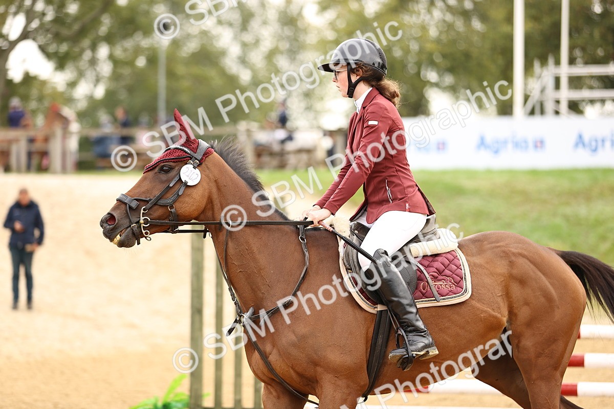 SBM_58329 - J41 - Grand Tour Horse & Pony 95cm