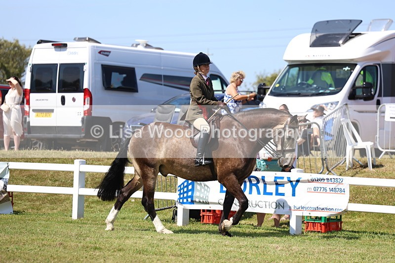 3E7A7459 - Rising Star Ridden Championship