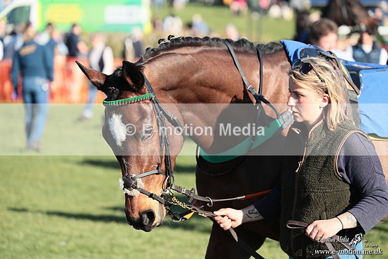PtP 210326 900 - VWH Cirencester Races 21/03/26