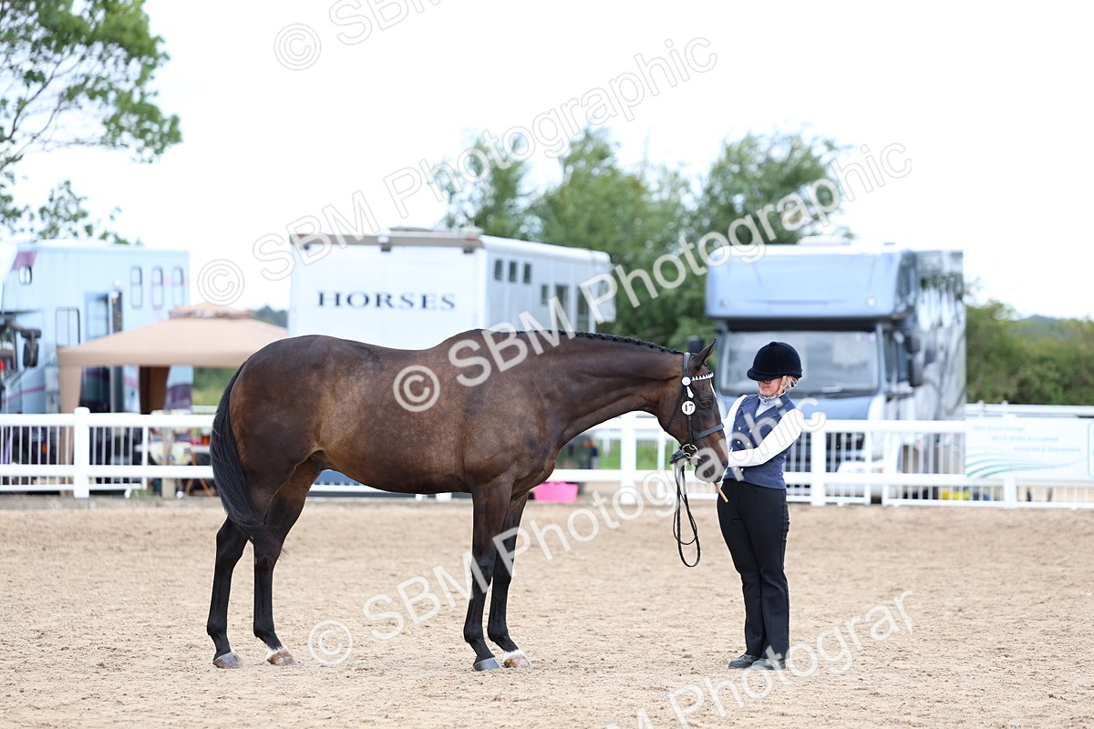 SBM_05700 - Class 28 - IH Veteran Horse