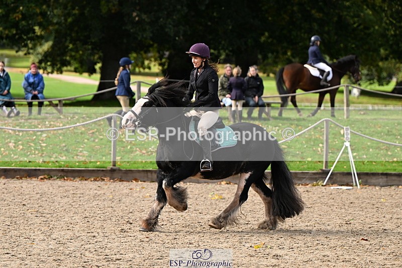 251004A-140145-01410 - Classes 6 & 7 60cm