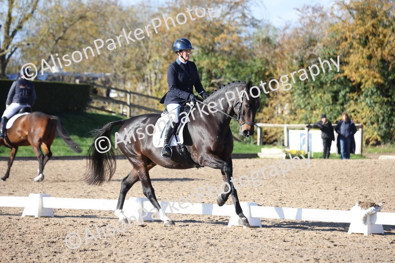 20251102-0983 - Class 5 - Elementary 5