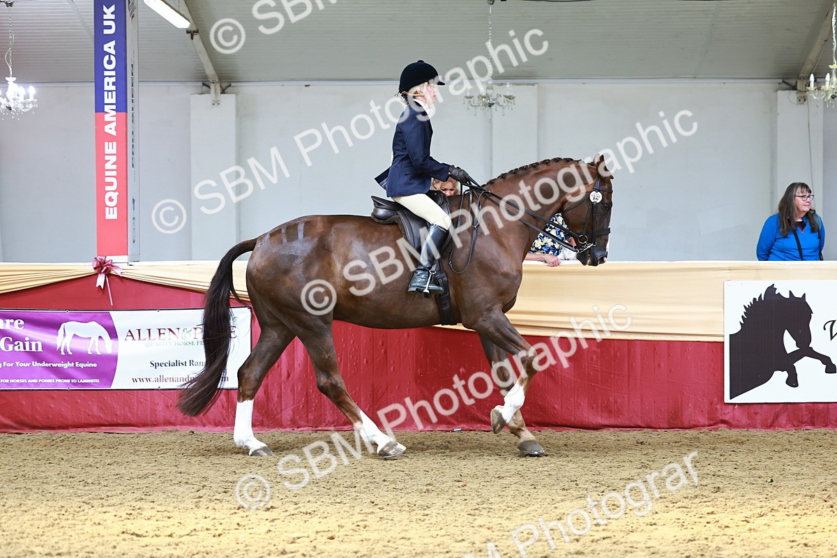 SBM_23337 - class 906 - Supreme Final - Ridden Pre Vet
