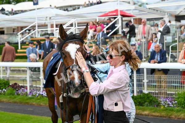 310525-Race 4-Scenic-9709 - Race 4 3.15pm William Hill Bronte Cup Fillies' Stakes