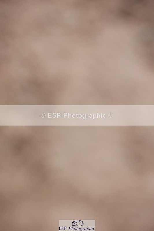 231112A-151305-05198 - Cls 21 Foxhunter & 1.20m Open