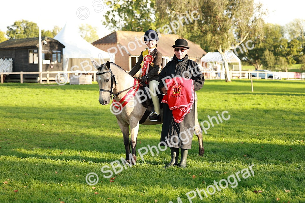 SBM_29334 - Novice & newcomer Supreme Championship