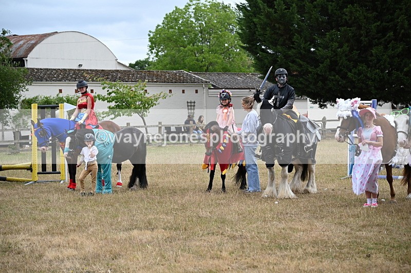 WJ6_9218 - Class 11 Fancy Dress