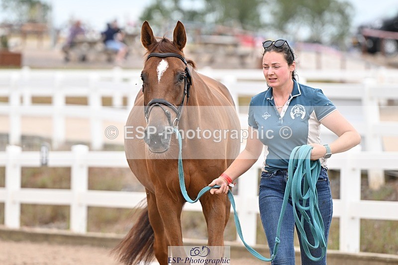 250716-160905-02456 - Trot Up 3.30 to 4.30