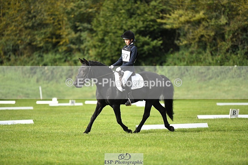 230826-094750-15238 - Sections C & D 9 to 10am