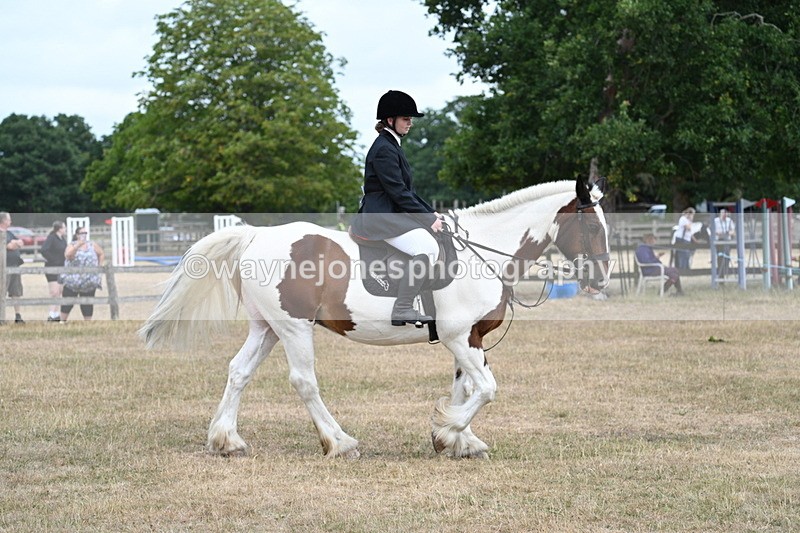 WJ7_1344 - Class 8 Ridden Veterans
