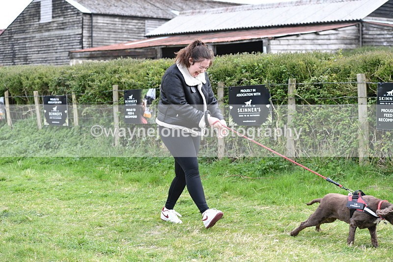 WJ5_0060 - Class 5 Best Veteran / 7 years & over