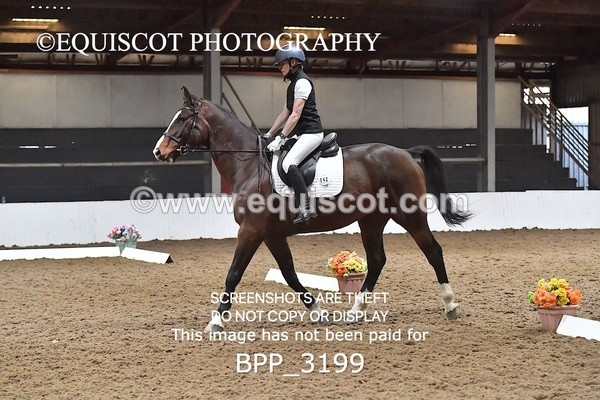 BPP_3199 - INTRO TEST 3