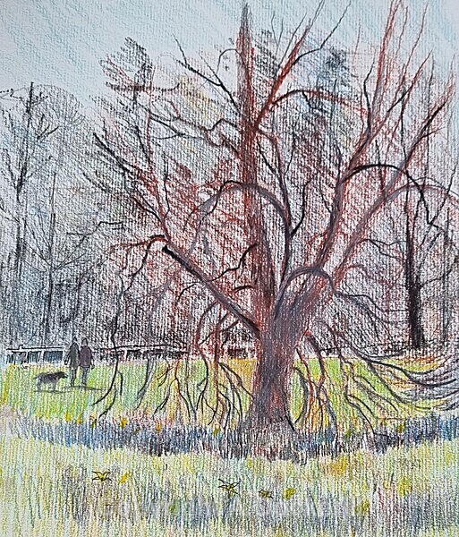 Nowton Park 2 - Watercolours